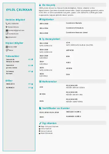 Öğrenci Cv Örnekleri cv indir